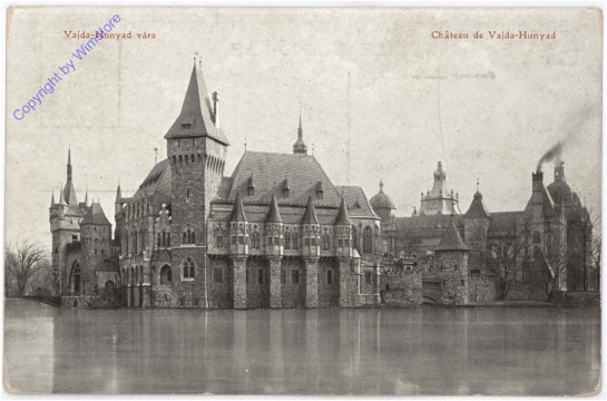 Vajda-Hunyad vara, Chateau de Vajda-Hunyad