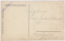 Eger, Die Kaiser und Wenzelsburg vor ihrer Zerstörung