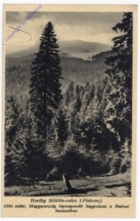 ak196751 Horthy Miklos-csucs (Pietrosz)