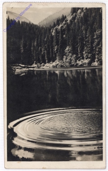 ak196763 Hoverlai tengerszem