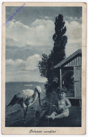 Balatoni csendelet