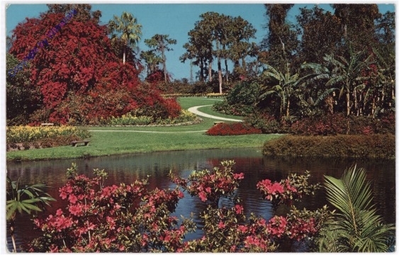 ak196881 Florida: Cypress Gardens