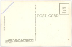 ak196881a Florida: Cypress Gardens