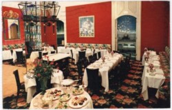 ak196889 Illinois: Chicago, Camellia House