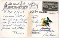 ak196889a Illinois: Chicago, Camellia House