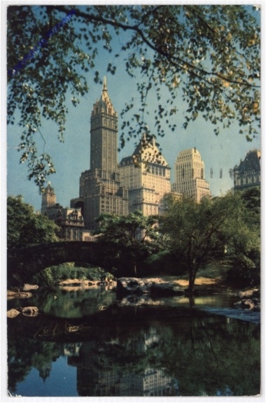 New York: New York City, Central Park and Fifth Avenue Hotels