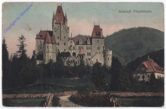 ak197180 Bruck an der Großglocknerstrasse, Schloß Fischhorn