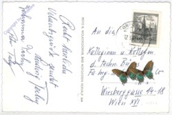 Dorfgastein, mit Bärnkogel