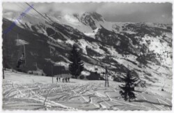 Dorfgastein, Berglift Brandelalm
