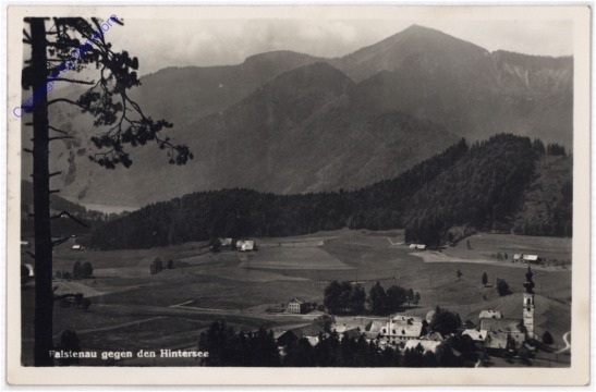 ak197201 Faistenau, gegen den Hintersee