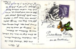 Faistenau, gegen den Hintersee