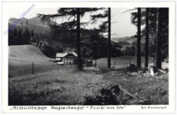 Fuschl am See, Almwirtschaft Hochlackenhof