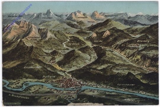 Hallein, Ansicht