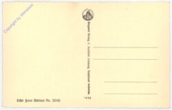 Krimml, Reichenspitzgruppe u. Wildgerlostal v. d. Gerlosplatte