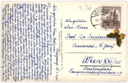 Leogang, mit den Leoganger Steinbergen