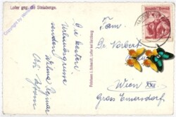 Lofer, geg. die Steinberge