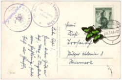 Maishofen, Hochköniggipfel