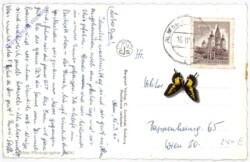 Maria Alm am Steinernem Meer, g.d. Steinerne Meer