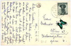 ak197448a Maria Alm am Steinernem Meer, Ortsansicht