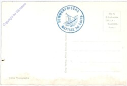 Mattsee, Stiftskirche