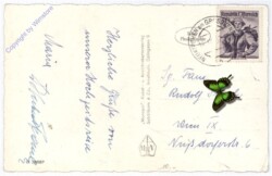 Neukirchen am Großvenediger, gegen Hütteltalkogel