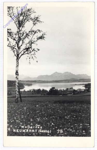 Neumarkt am Wallersee, Ansicht