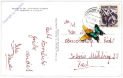 Oberndorf, Fenster in der "Stille Nacht"-Kapelle