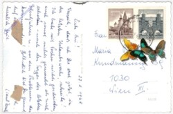 Radstädter Tauern, Motiv