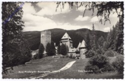 Ramingstein, Burg Finstergrün
