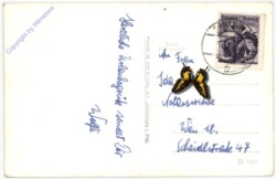 Thalgau, Grossarler Straße mit Blick zum Hochkönig