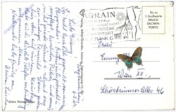 Wagrain, Grieskareck-Gipfel