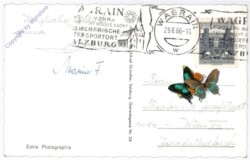 Wagrain, Ortsansicht