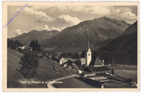 Wald im Pinzgau, geg. d. Sulzbachtal