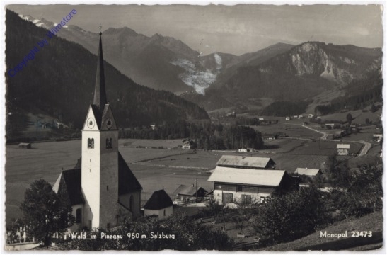 Wald im Pinzgau, Ortsansicht