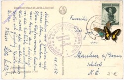 Werfen, Eisriesenwelt, Eisorgel