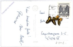 Werfenweng, gegen den Hochkönig