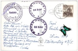 Zell am See, Ansicht