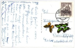 Zell am See, mit Kitzsteinhorn