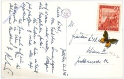 Zell am See, g.d. Kitzsteinhorn