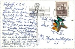 Salzburg, Grand Cafe Winkler