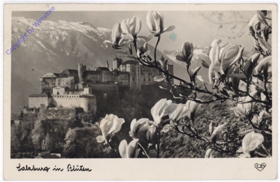 Salzburg, in Blüten