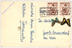 Salzburg, Frohe Weihnachten