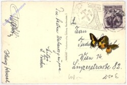 Salzburg, Hohensalzburg