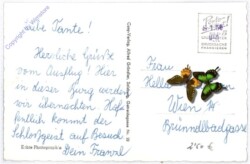 Werfen, Feste Hohenwerfen