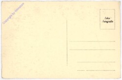 Salzburg, Franziskanerkirche, Pacher-Madonna