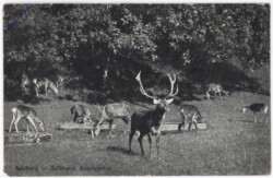 Salzburg, Schloss Hellbrunn, Hirschgarten