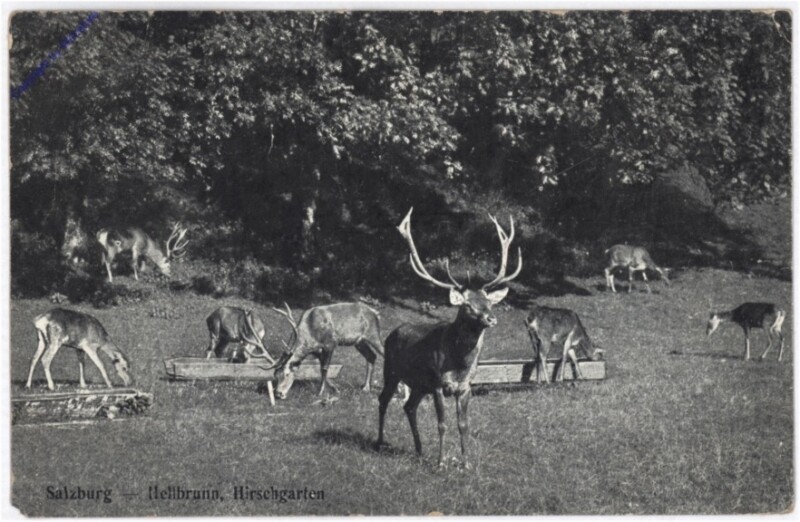 Salzburg, Schloss Hellbrunn, Hirschgarten