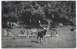 Salzburg, Schloss Hellbrunn, Hirschgarten