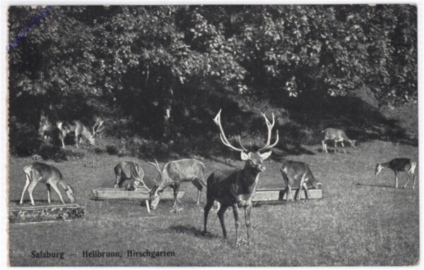 Salzburg, Schloss Hellbrunn, Hirschgarten