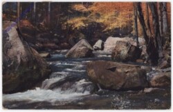 Bachlauf